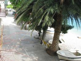 Palmy przed domem i plaża