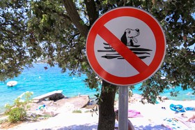 Na pláži platí zákaz koupání psů