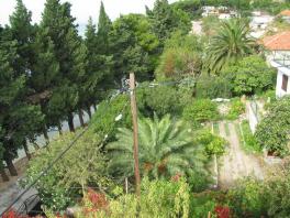 Středomořská vegetace v okolních zahradách