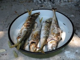 Čerstvé ryby připravené na grilu