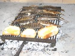 Čerstvé ryby na grilu chutnají nejlépe