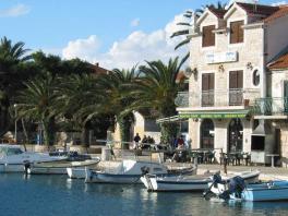 A café in the harbour, surrounded by palms