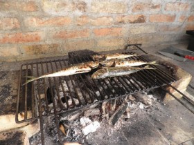 Ryby z grilla