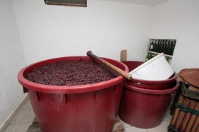 Příprava vína