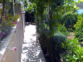 Zahrada 