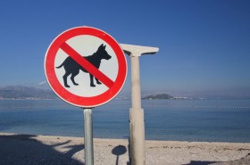 Na hlavní pláži je pejskům vstup zakázán