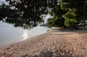 Oblázková pláž stíněná borovicemi