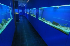 Aquarium v letovisku